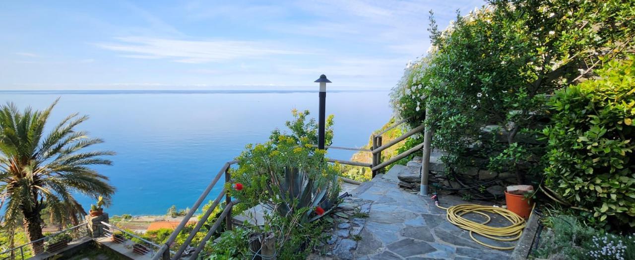 New Hanging Garden Corniglia Buitenkant foto