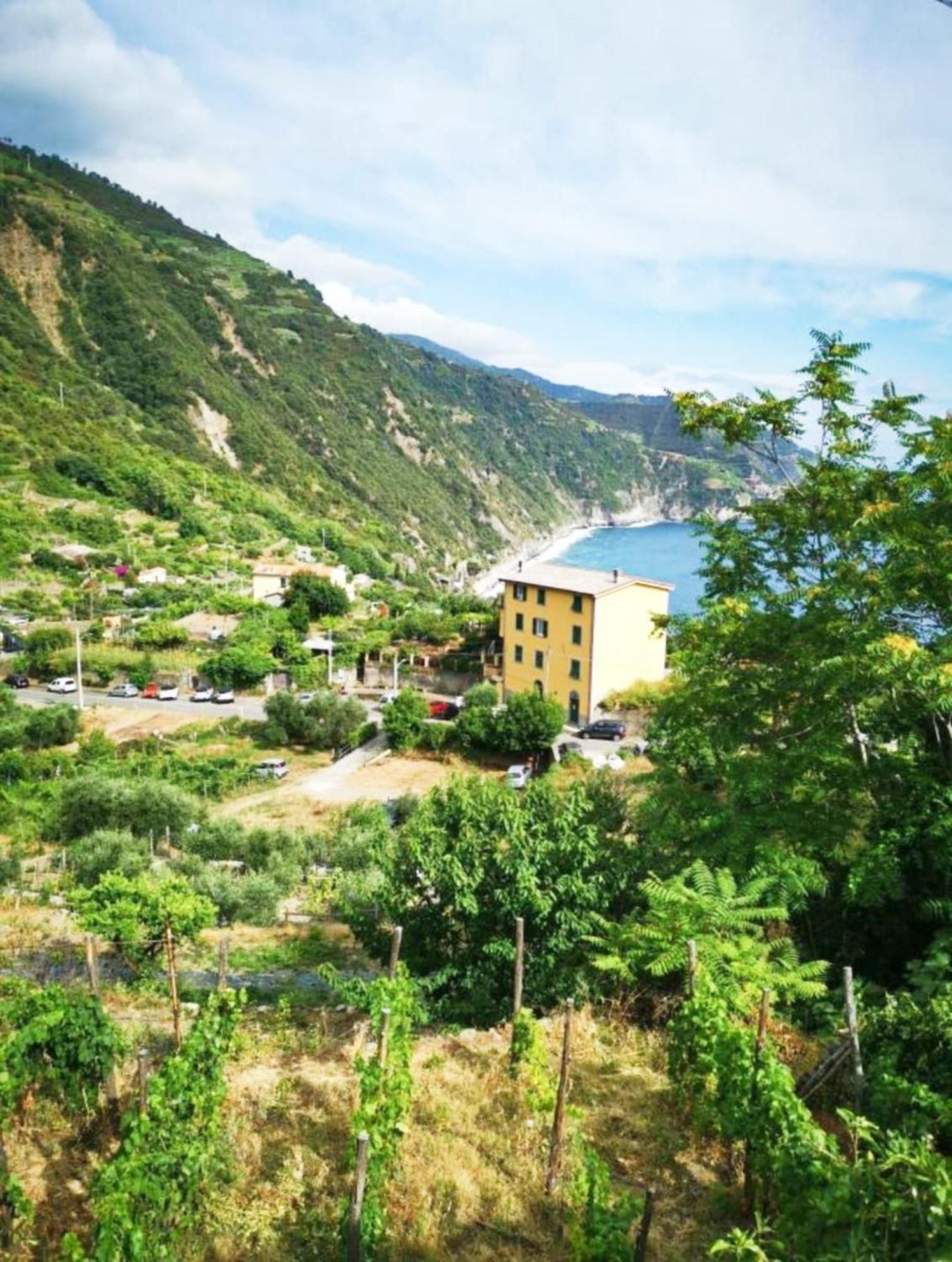 New Hanging Garden Corniglia Buitenkant foto