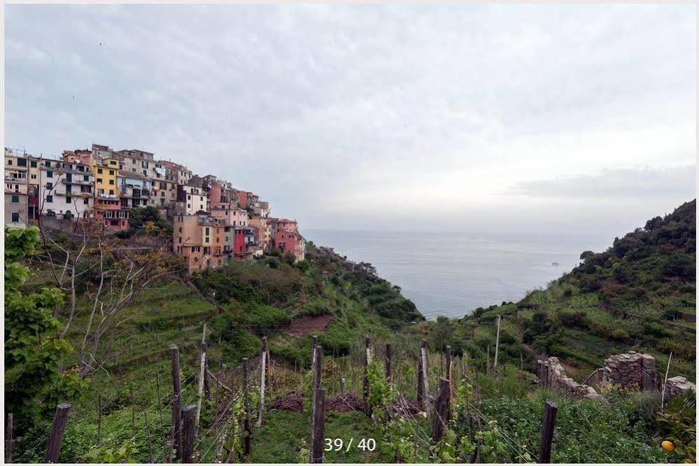New Hanging Garden Corniglia Buitenkant foto